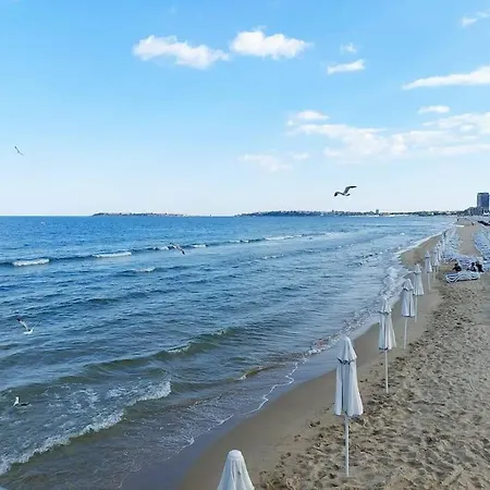 Nessebar Club 363